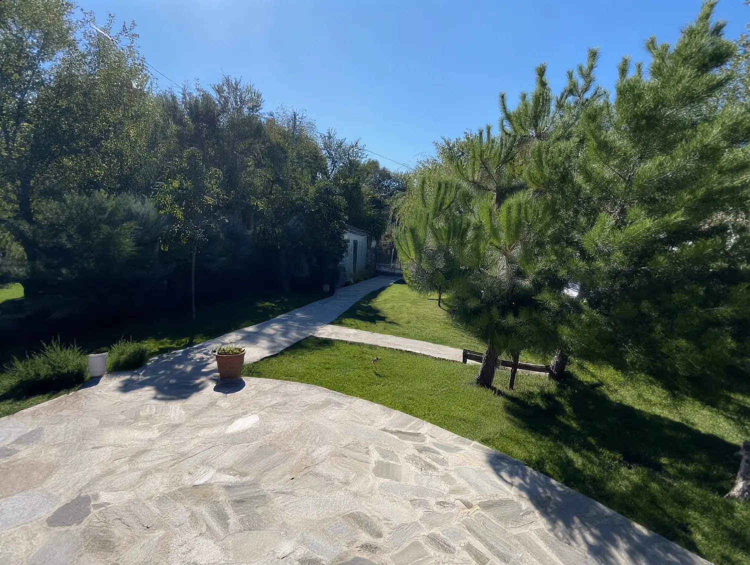 Garden